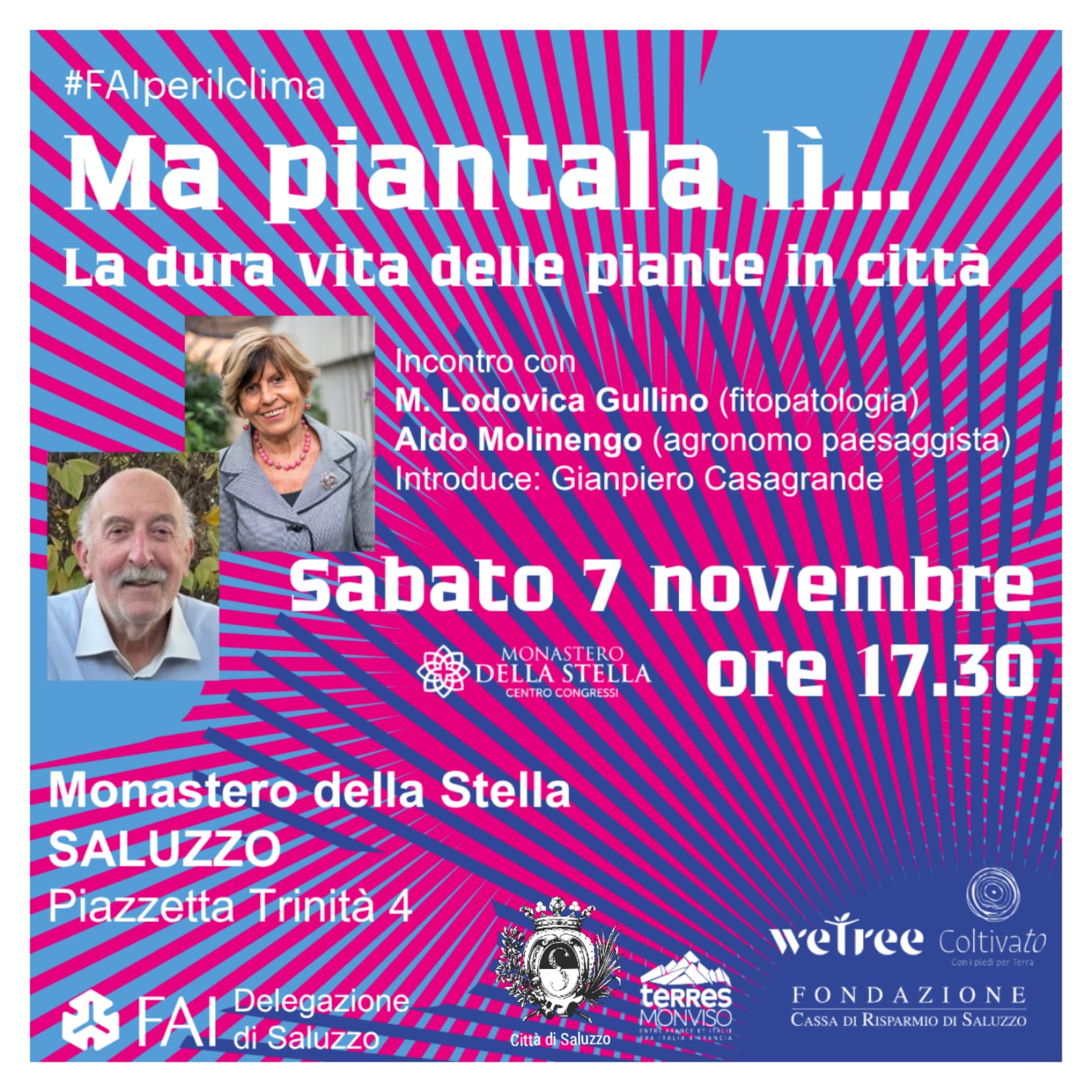 Ma piantala lì .....la dura vita delle piante in città
