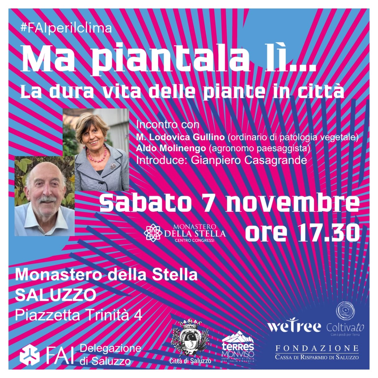 Ma piantala lì .....la dura vita delle piante in città